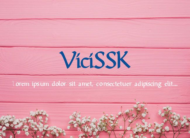 ViciSSK example