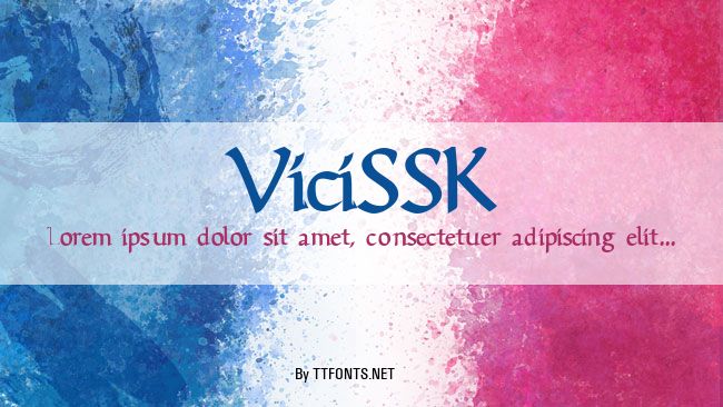 ViciSSK example