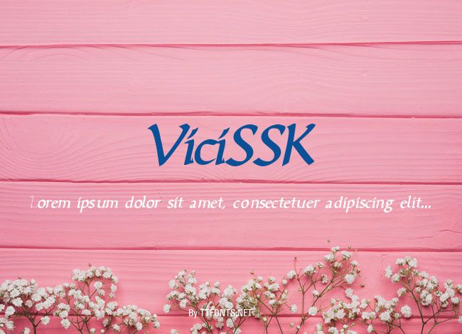 ViciSSK example