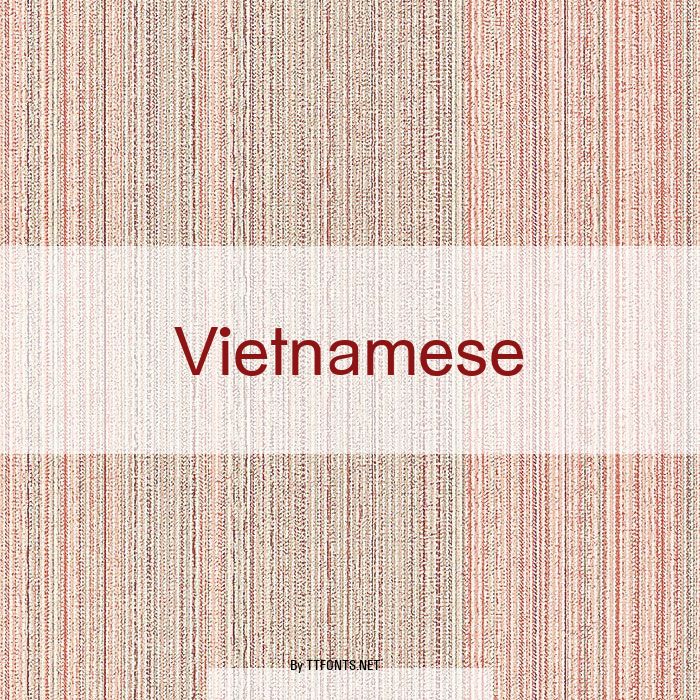 Vietnamese example