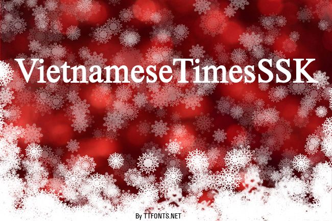 VietnameseTimesSSK example
