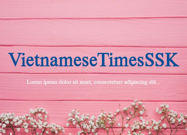 VietnameseTimesSSK example