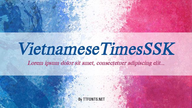 VietnameseTimesSSK example