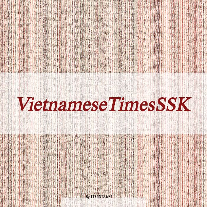 VietnameseTimesSSK example