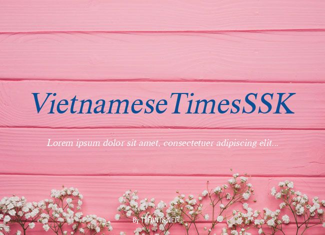 VietnameseTimesSSK example