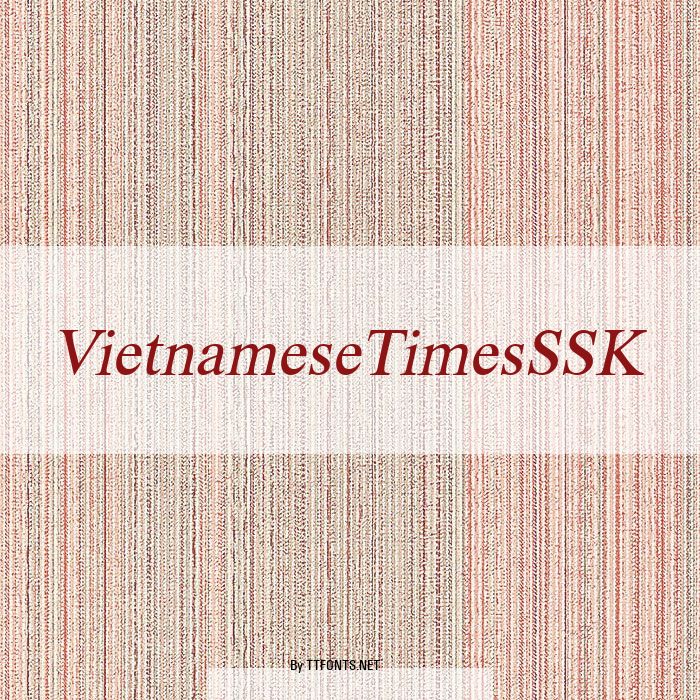 VietnameseTimesSSK example