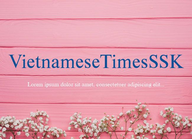 VietnameseTimesSSK example