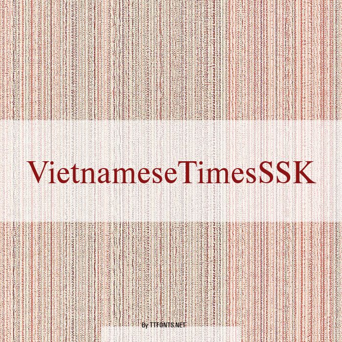 VietnameseTimesSSK example