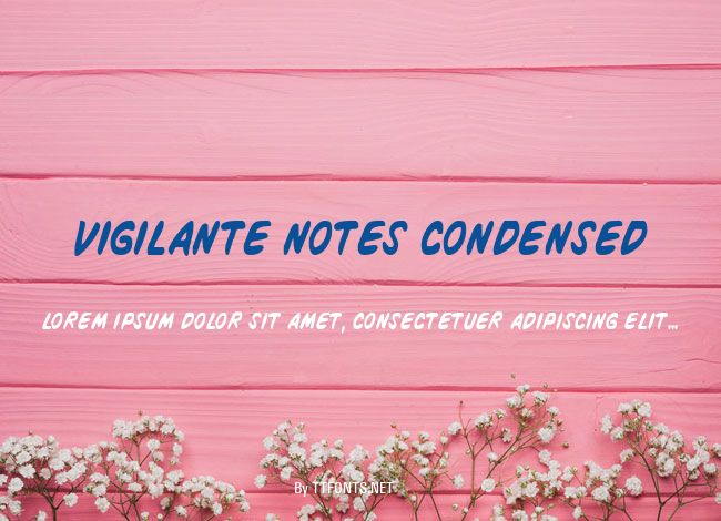 Vigilante Notes Condensed example