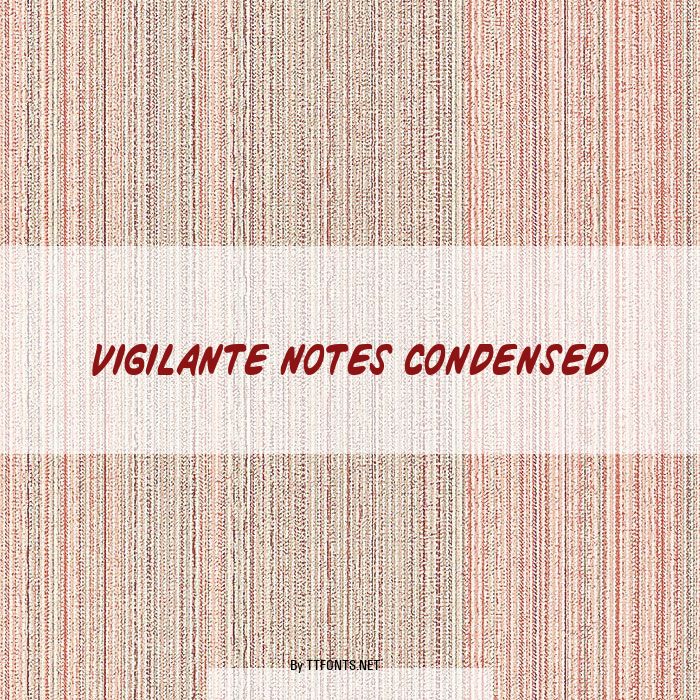 Vigilante Notes Condensed example