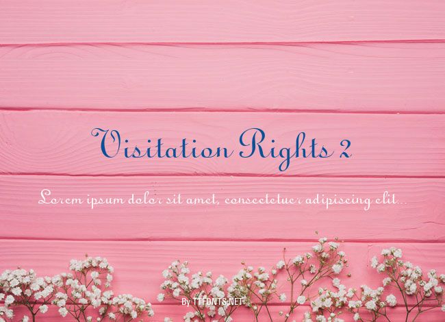 Visitation Rights 2 example
