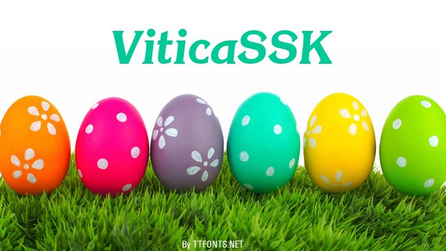 ViticaSSK example