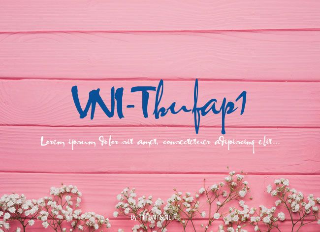VNI-Thufap1 example