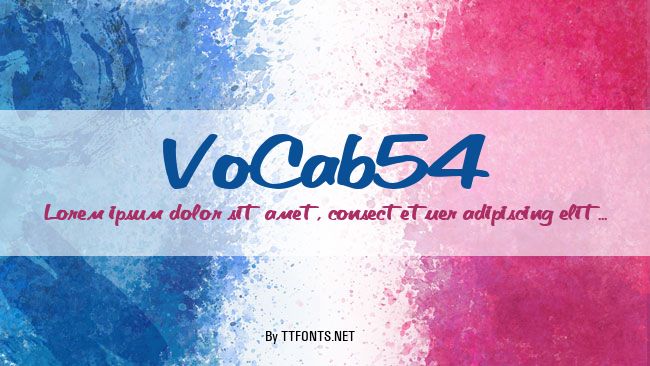 VoCab54 example