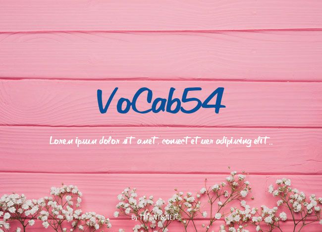 VoCab54 example