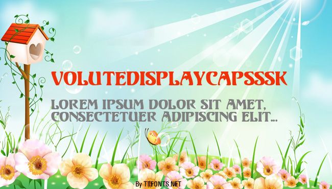VoluteDisplayCapsSSK example
