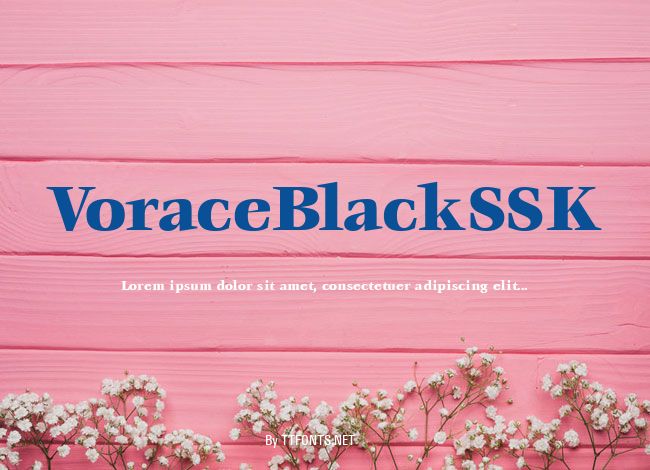 VoraceBlackSSK example