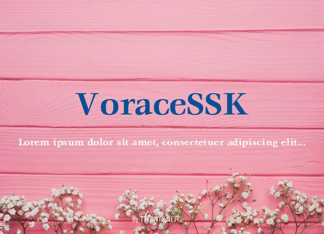 VoraceSSK example