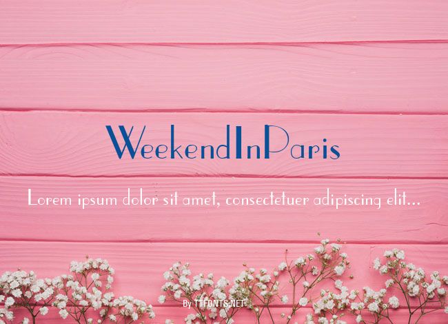 WeekendInParis example