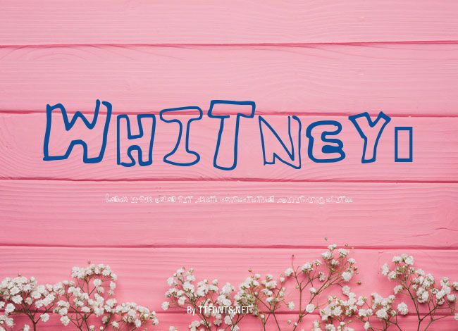 Whitney2 example