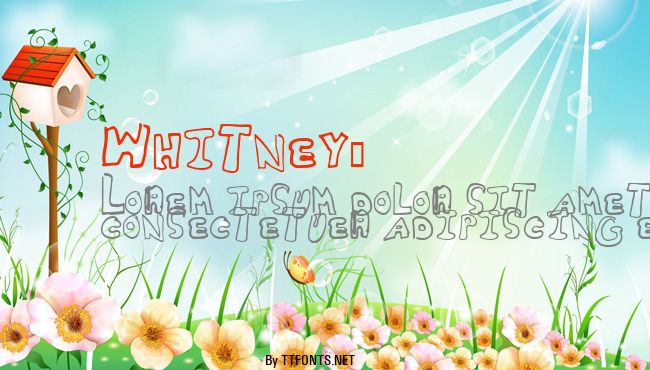 Whitney2 example