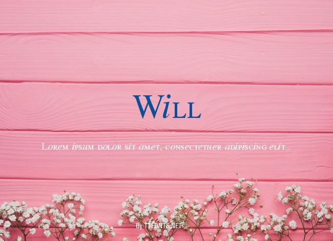 Will&Grace example