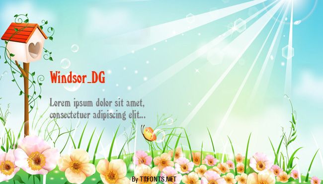 Windsor_DG example