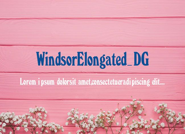 WindsorElongated_DG example