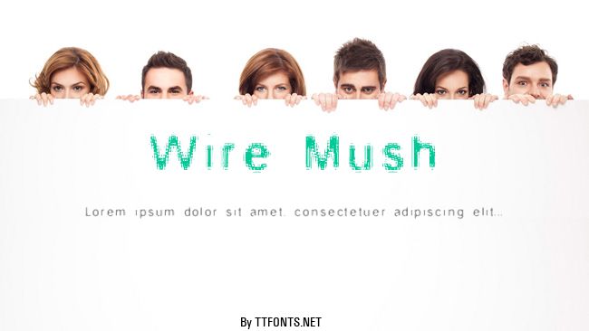 Wire Mush example