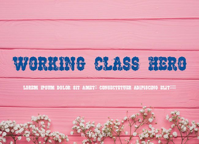 Working Class Hero example