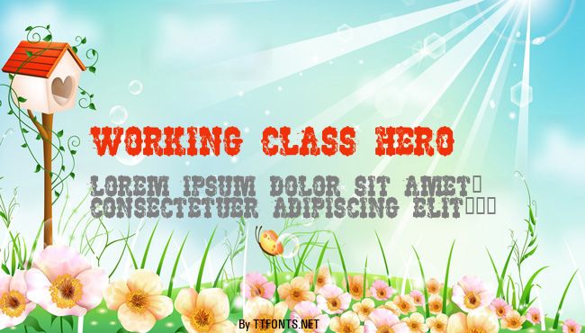 Working Class Hero example