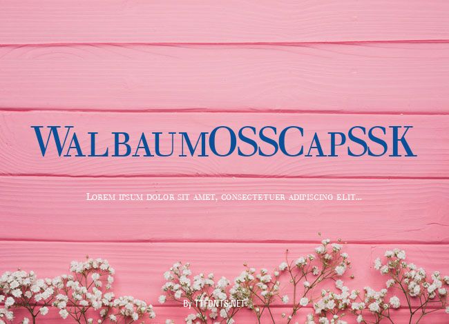 WalbaumOSSCapSSK example