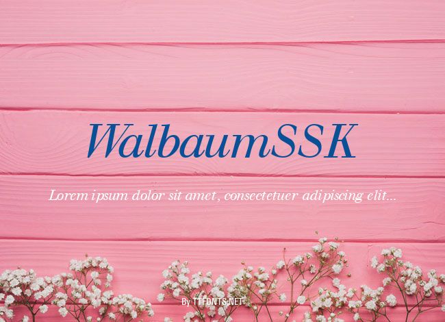 WalbaumSSK example