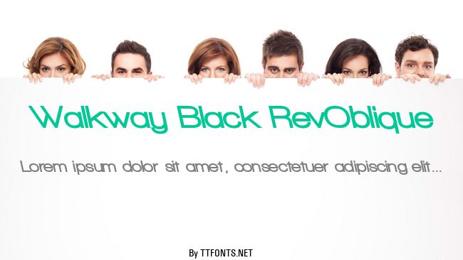 Walkway Black RevOblique example