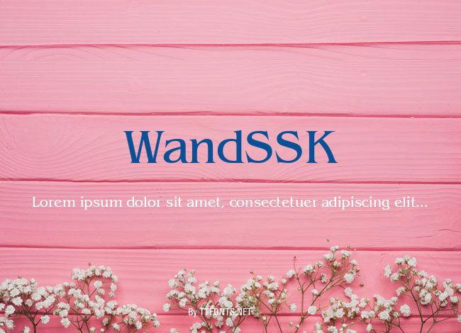 WandSSK example