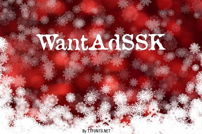 WantAdSSK example