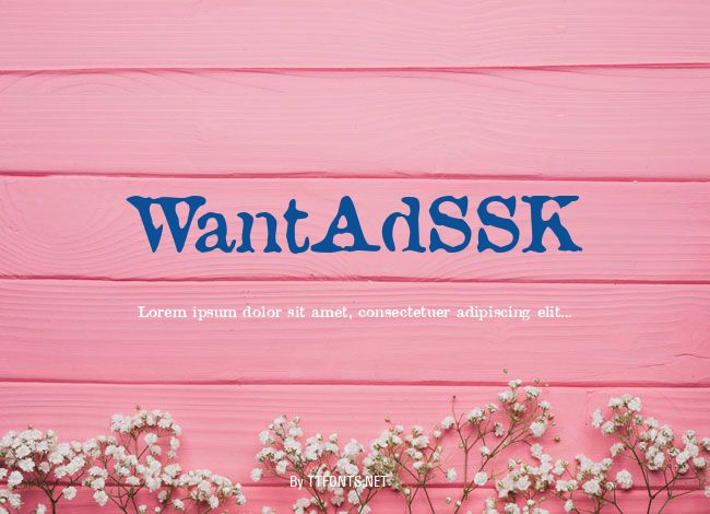 WantAdSSK example