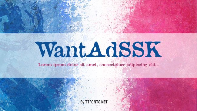 WantAdSSK example