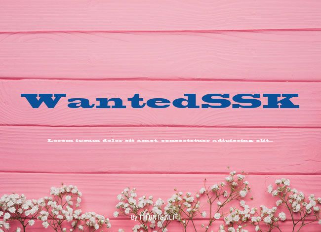 WantedSSK example