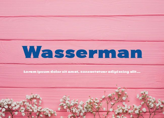 Wasserman example