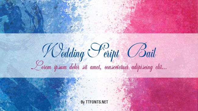 WeddingScript Bail example