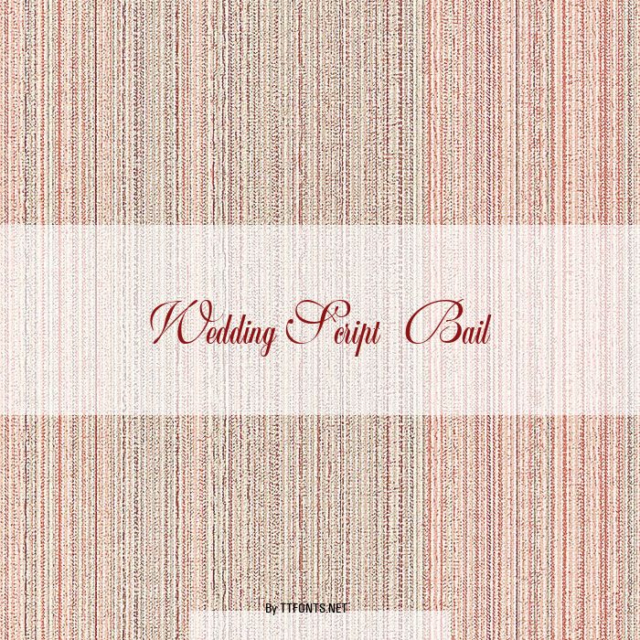 WeddingScript Bail example