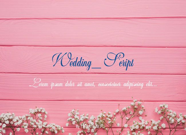Wedding_Script example