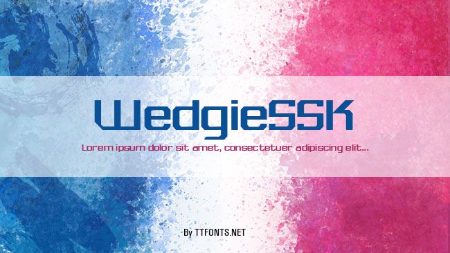 WedgieSSK example