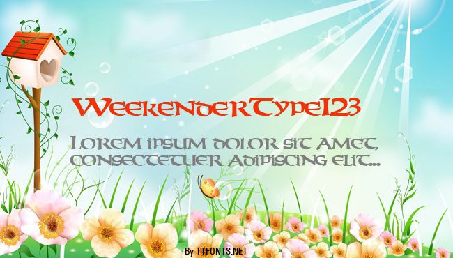 WeekenderType123 example