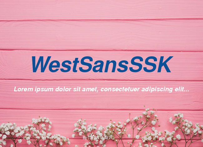 WestSansSSK example