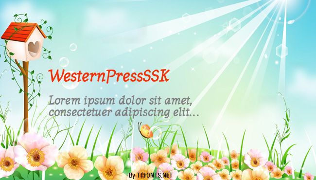 WesternPressSSK example
