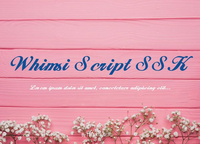 Whimsi Script SSK example