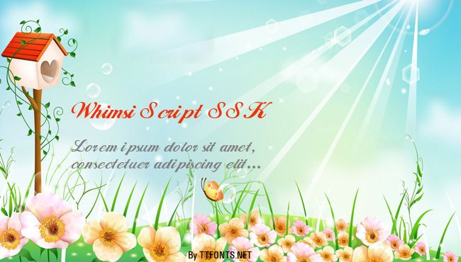 Whimsi Script SSK example