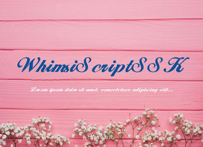 WhimsiScriptSSK example